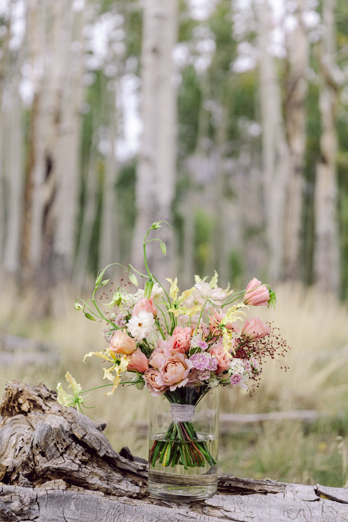 AbieLivesayPhotography-TellurideWeddingPhotographer-SoireeTelluride-TellurideGoldenLedge-MaggieTucker-738