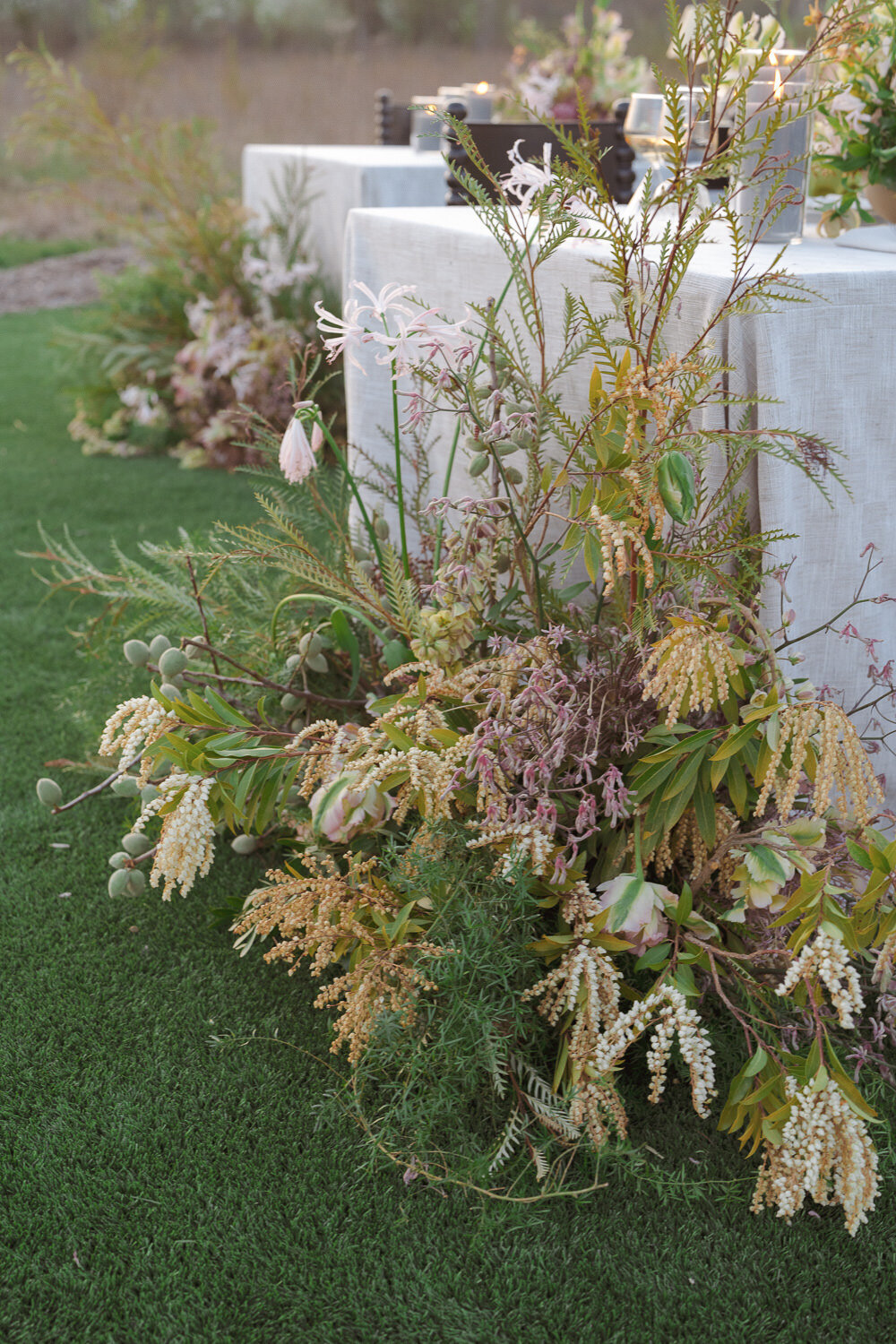 wildflower-web--171