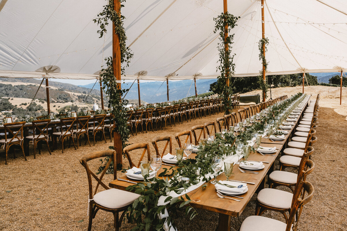 Tent at Albatross Ridge