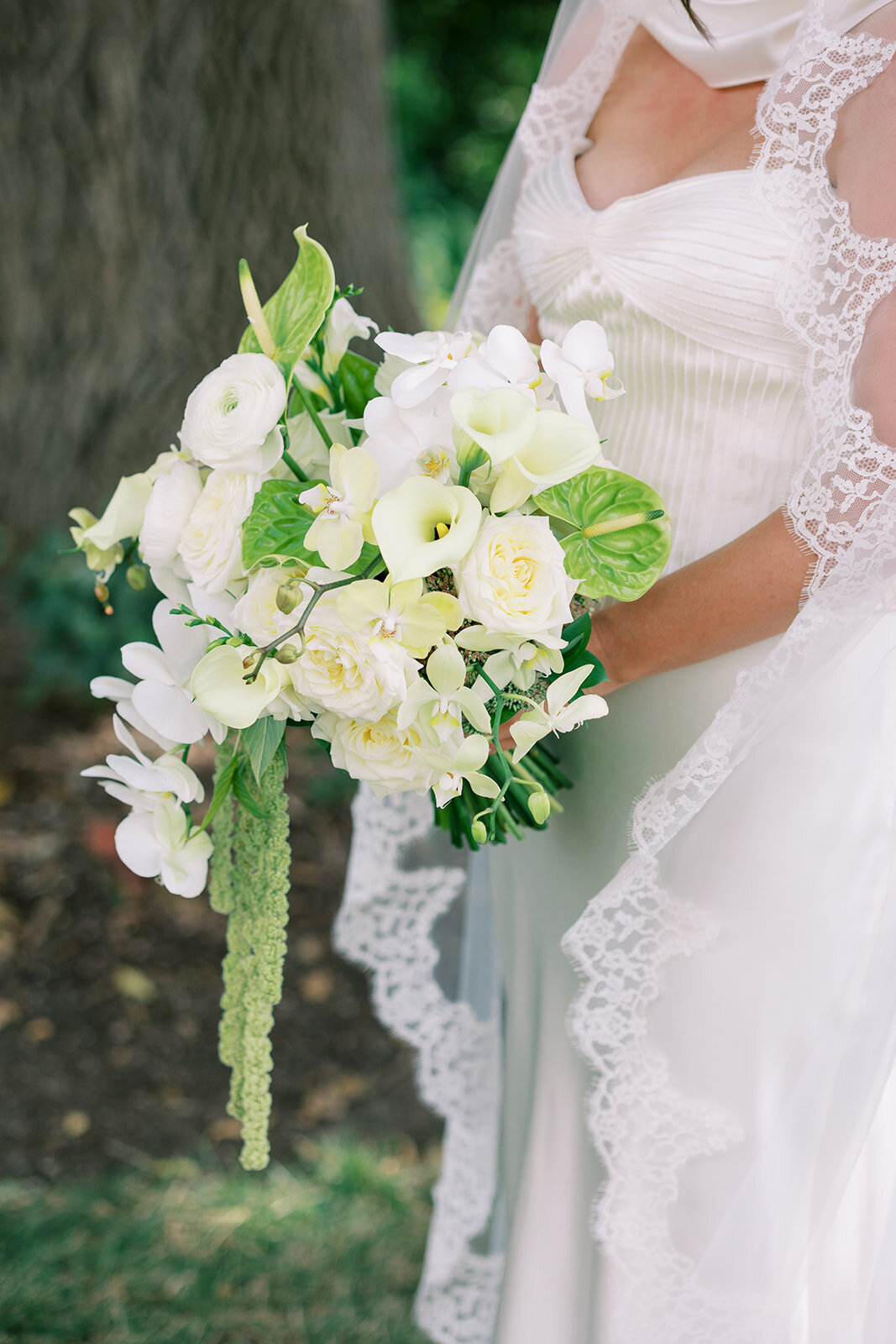 wedding-photos-french-park-29