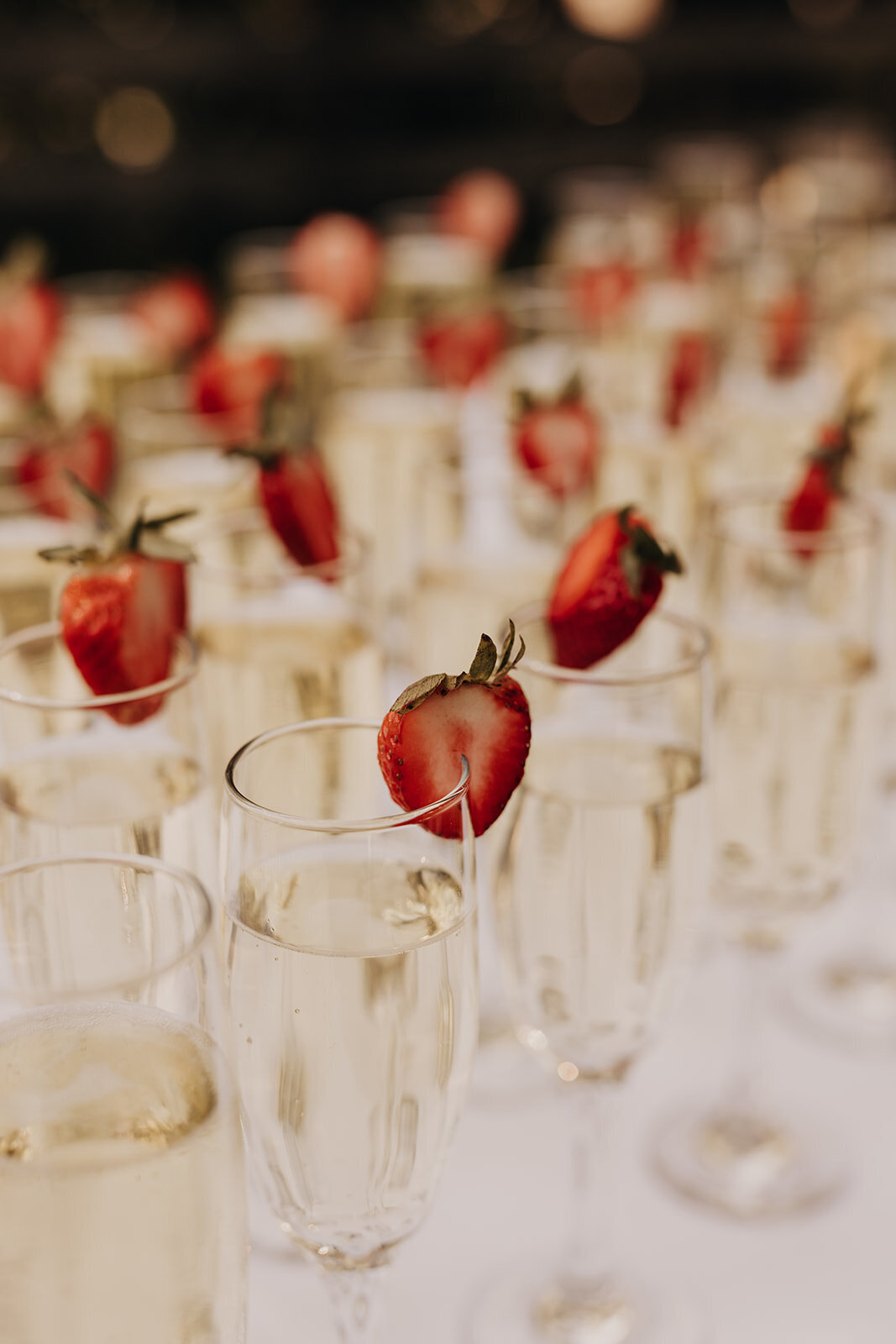 Maria Denomme Photography-1106