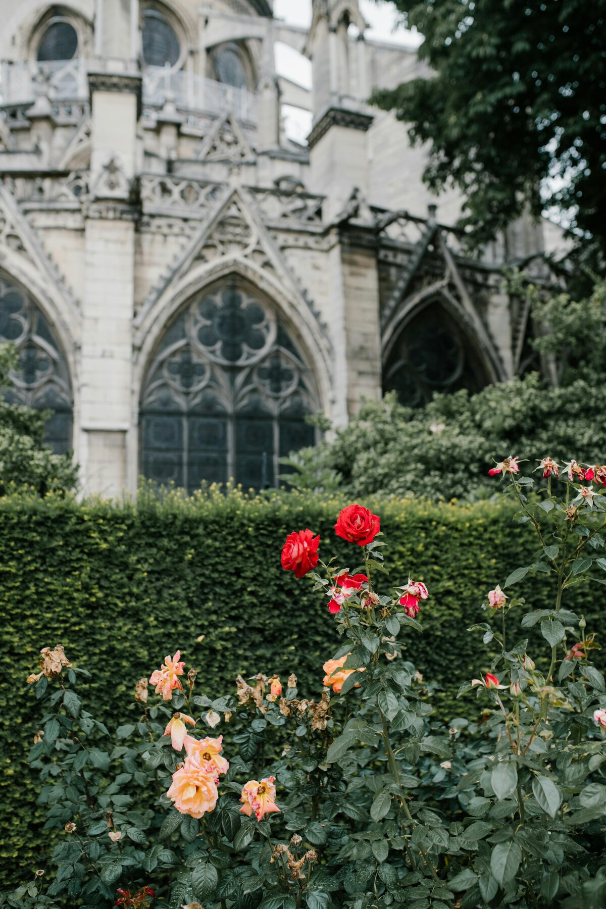 pexels-julia-volk-5273437