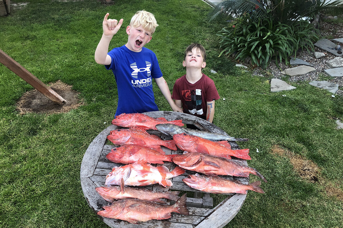 7campingvanrentalsinsandiegokidsshow