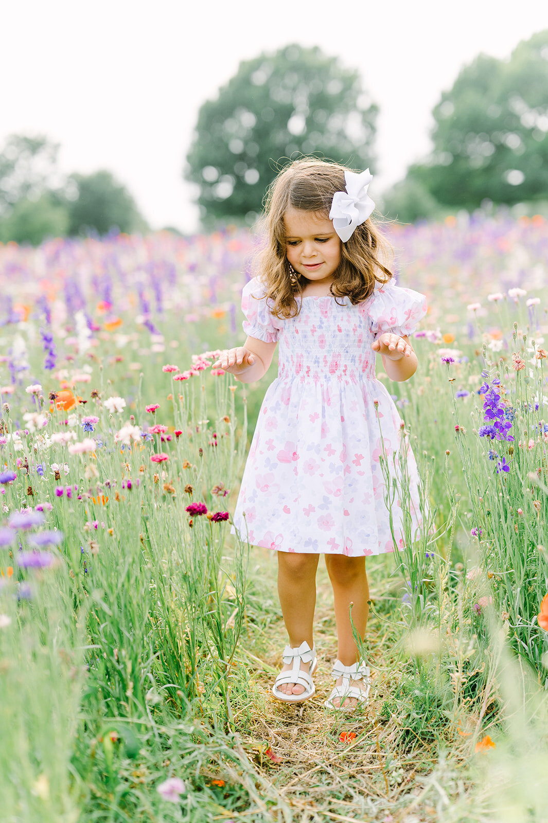 dallas-wildflower-photography-21