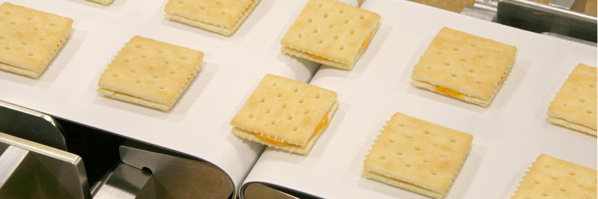 food manufacturing conveyor belt with crackers