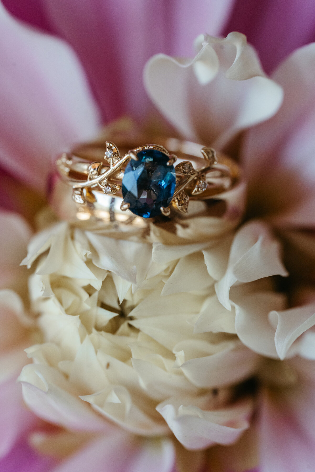 Wedding rings resting on flower petals