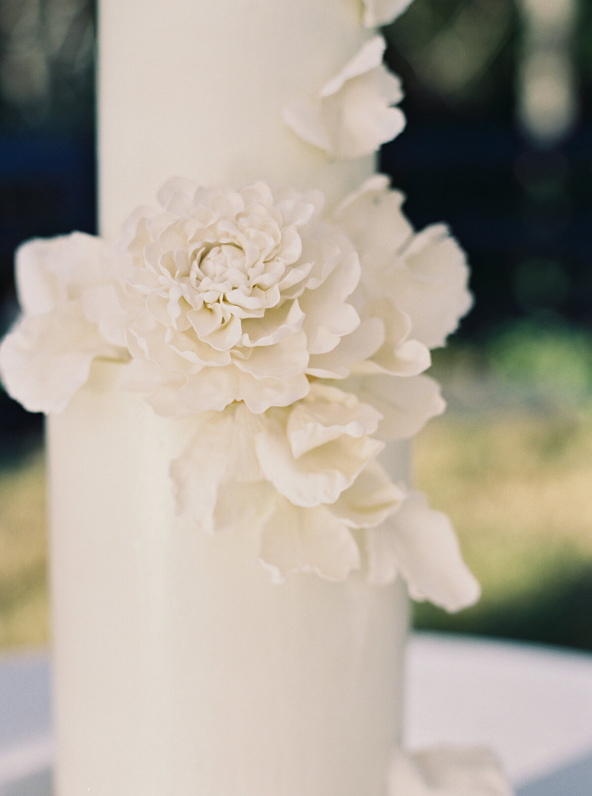 Bloomsbury-Farm-Wedding-Tent-Rach-Bakes-Cake
