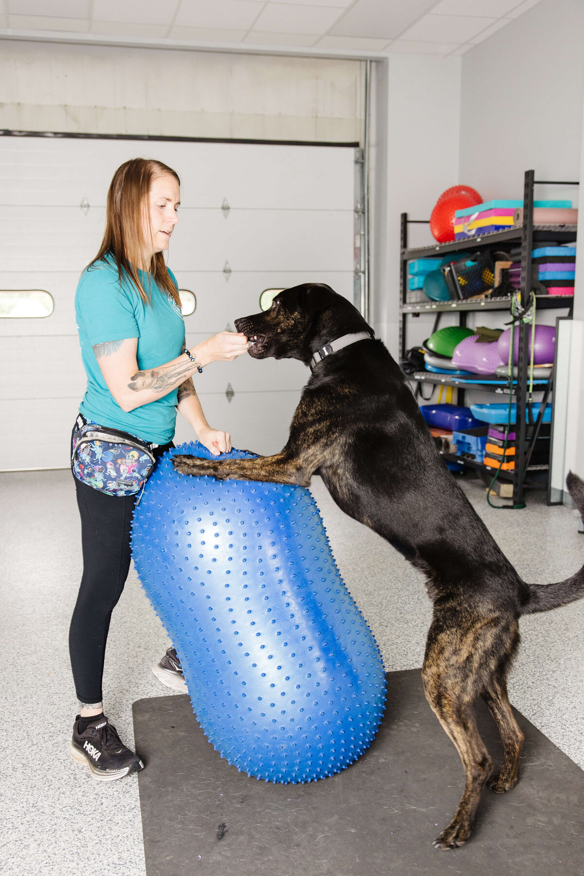 Dog-fitness-brand-photo-by-southern-idaho-commercial-brand-photographer-erin-moore