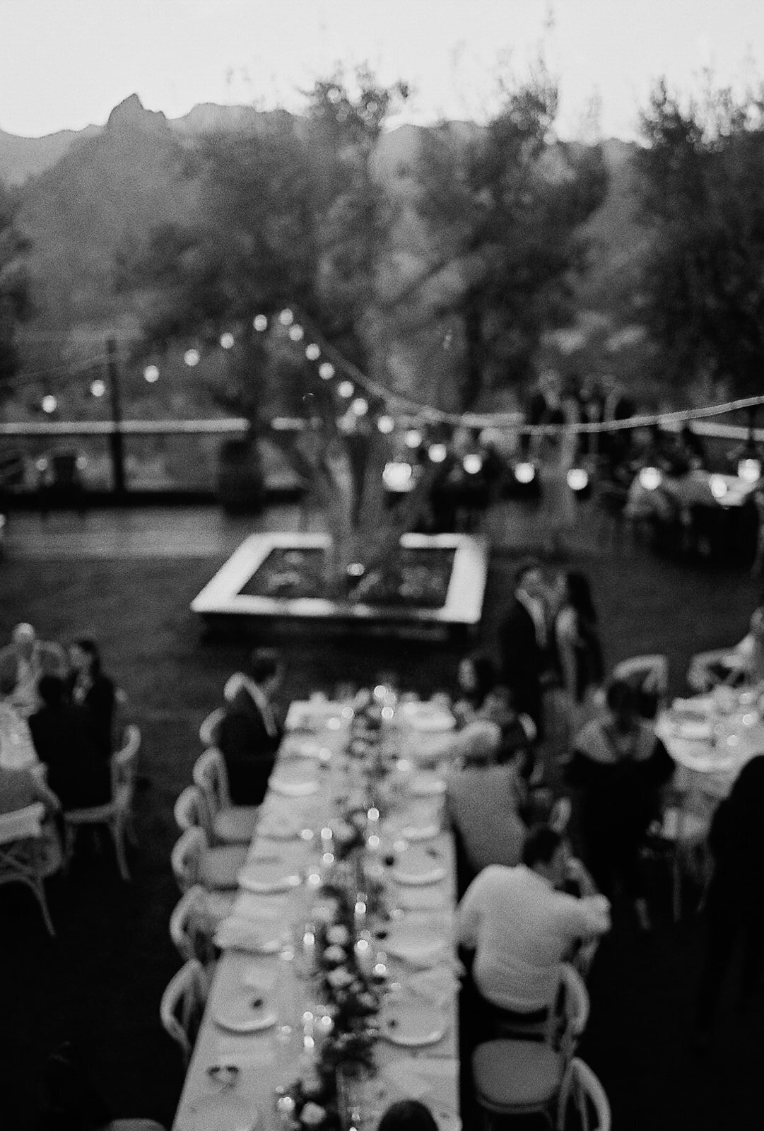 wedding-elegant-timeless-film-vintage-contax-olympus-265