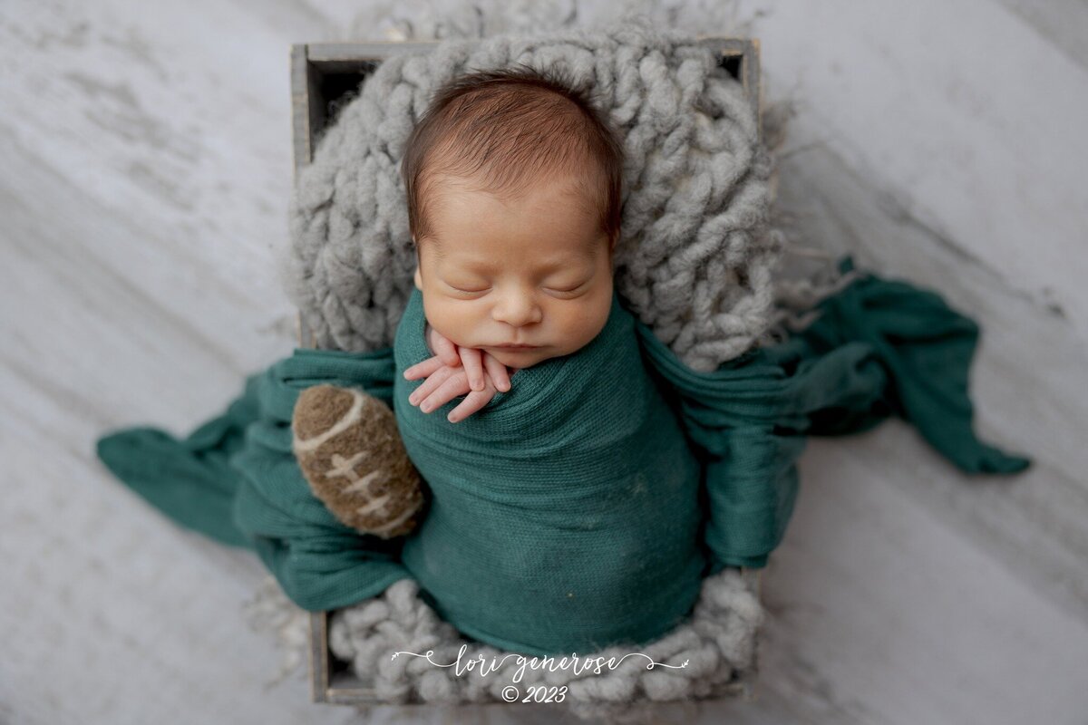 lehigh-valley-photographer-lori-generose-lg-photography-newborn-boy-emmaus-pa