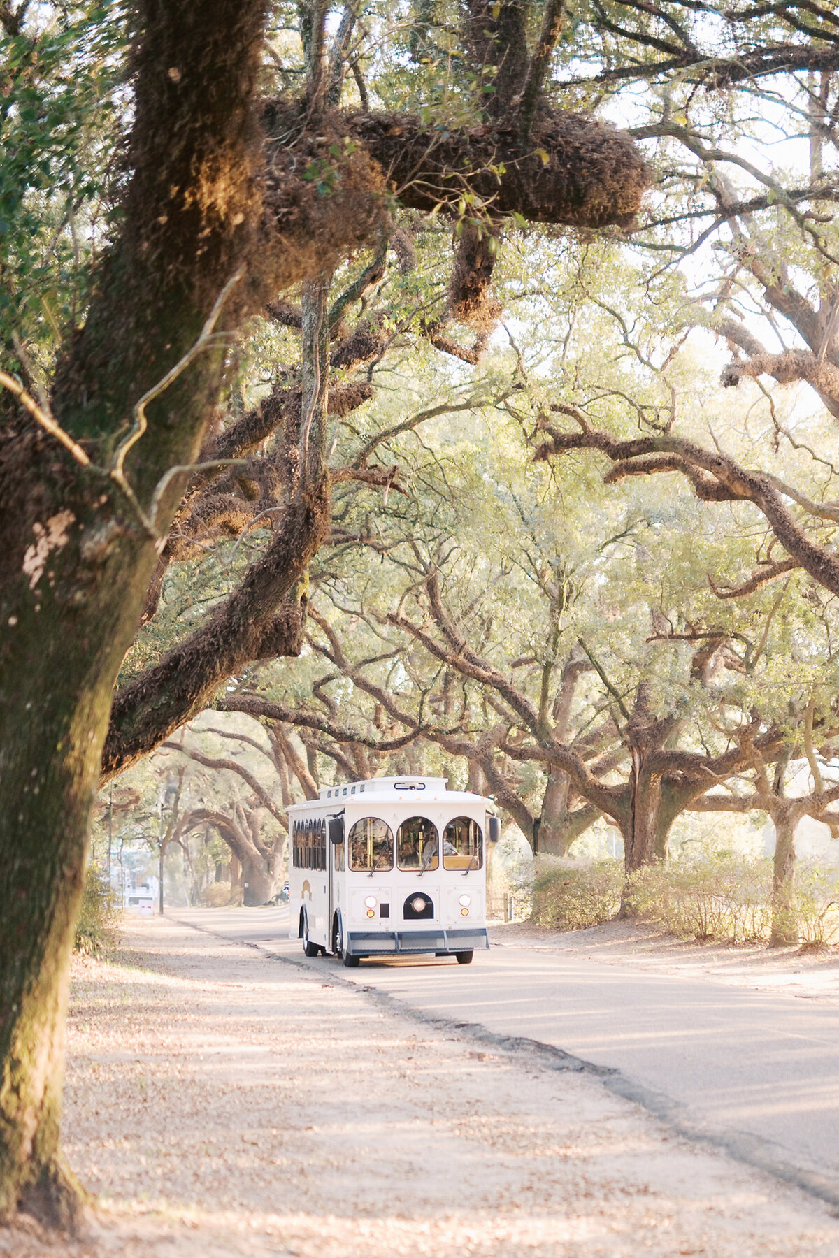 Southeast Wedding Photographer - Eric and Jamie Portfolio-100