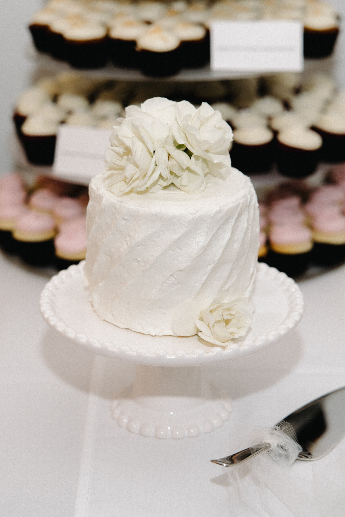 Nisswa Minnesota Wedding Photo-150