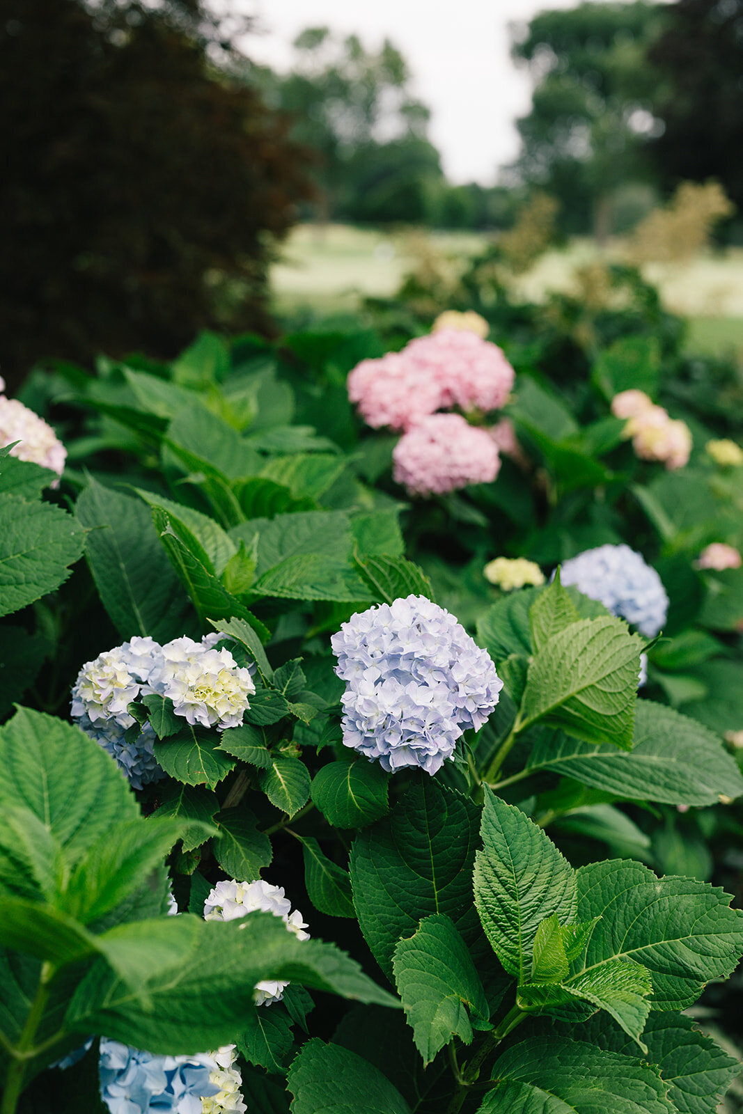 Detroit-Country-Club-Elise-Filliccia-Photography-10