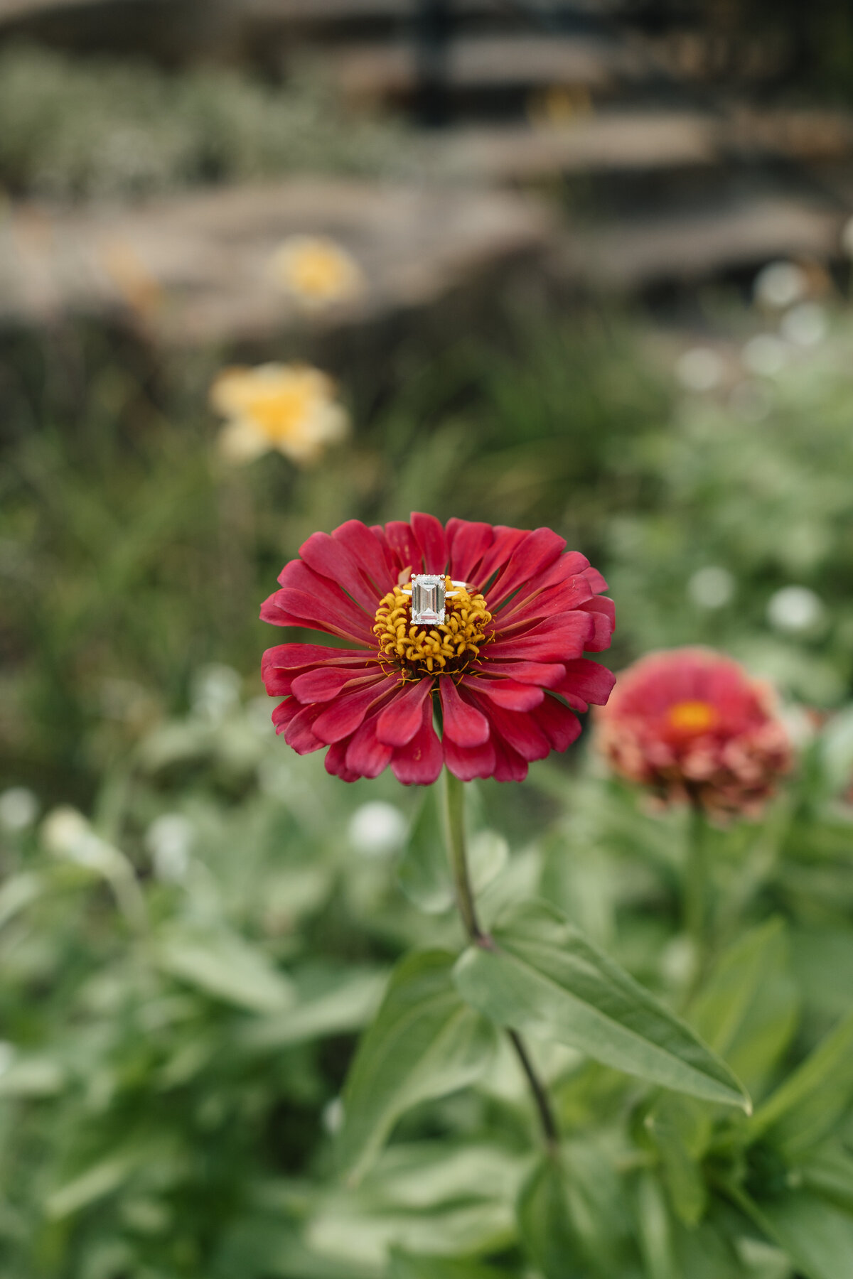 madelynpricephotos-7400846