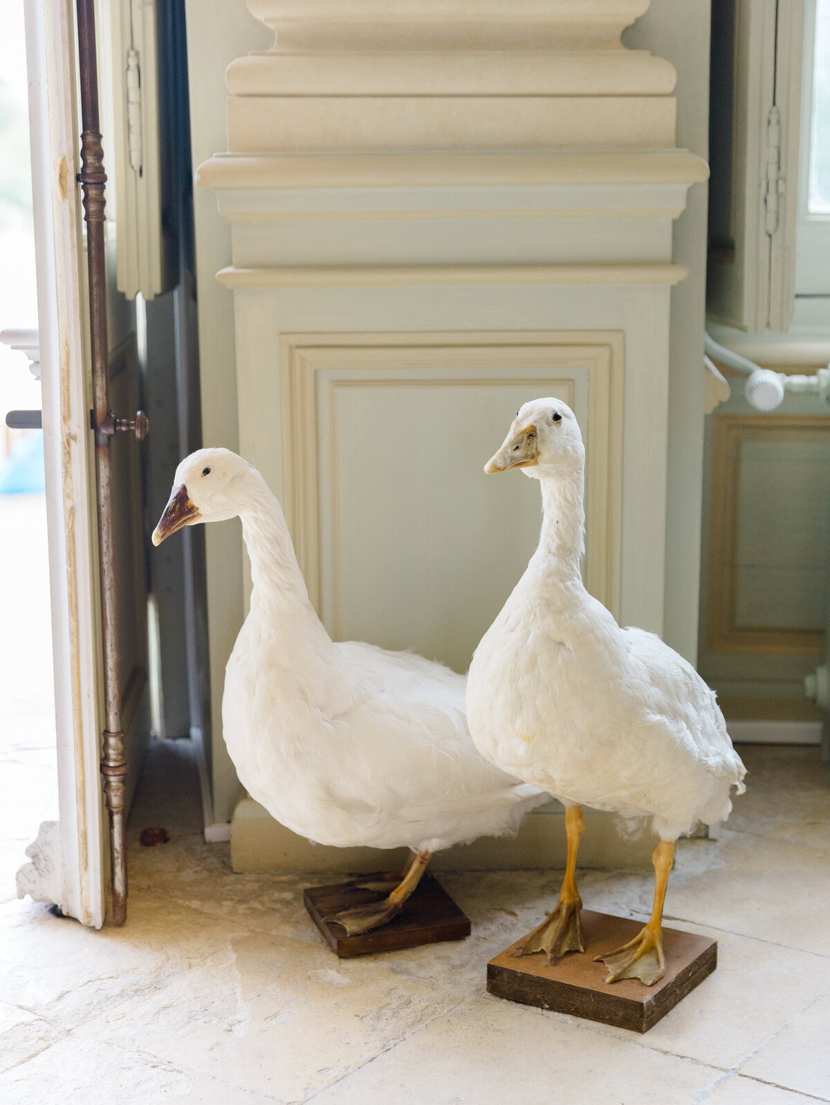 William+Alexandra_WeddingDay_JS-21