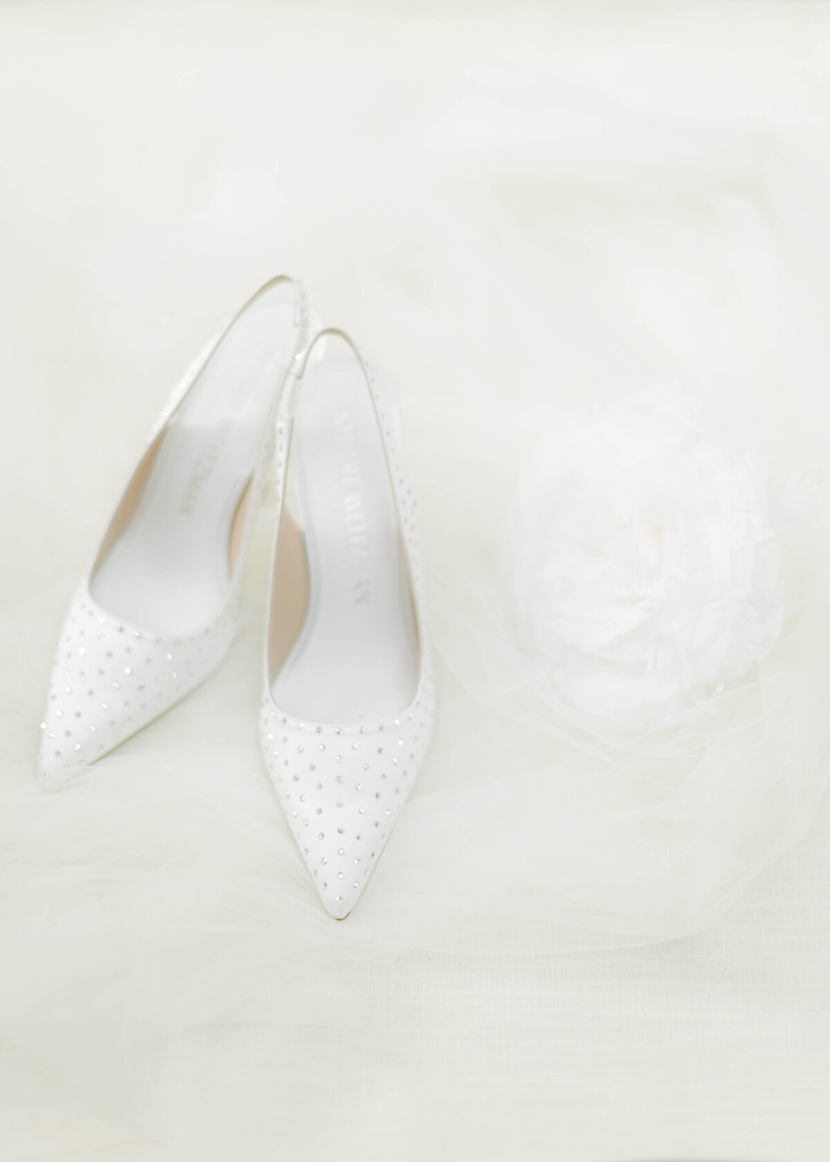 chloe-lowe-wedding-euridge-manor-stuart-weitzman-bridal