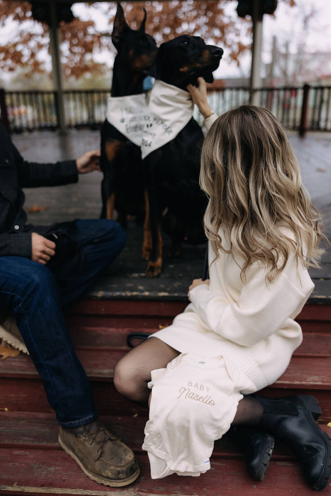 Dogs wearing scarf with baby announcement for  pregnancy announcement photos in Finger Lakes, NY