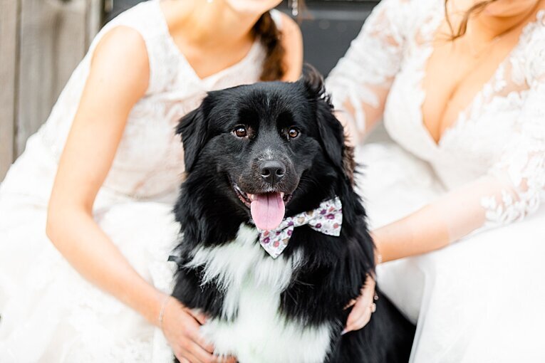 The-Ritz-Charles-indianapolis-carmel indiana-wedding-photographer_0012