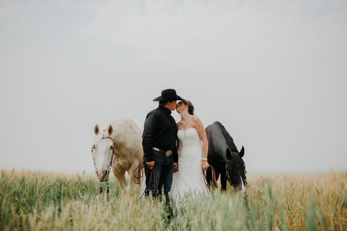 Kirstie+Shadoe_Strathmore-Horse-Carriage-Wedding-142