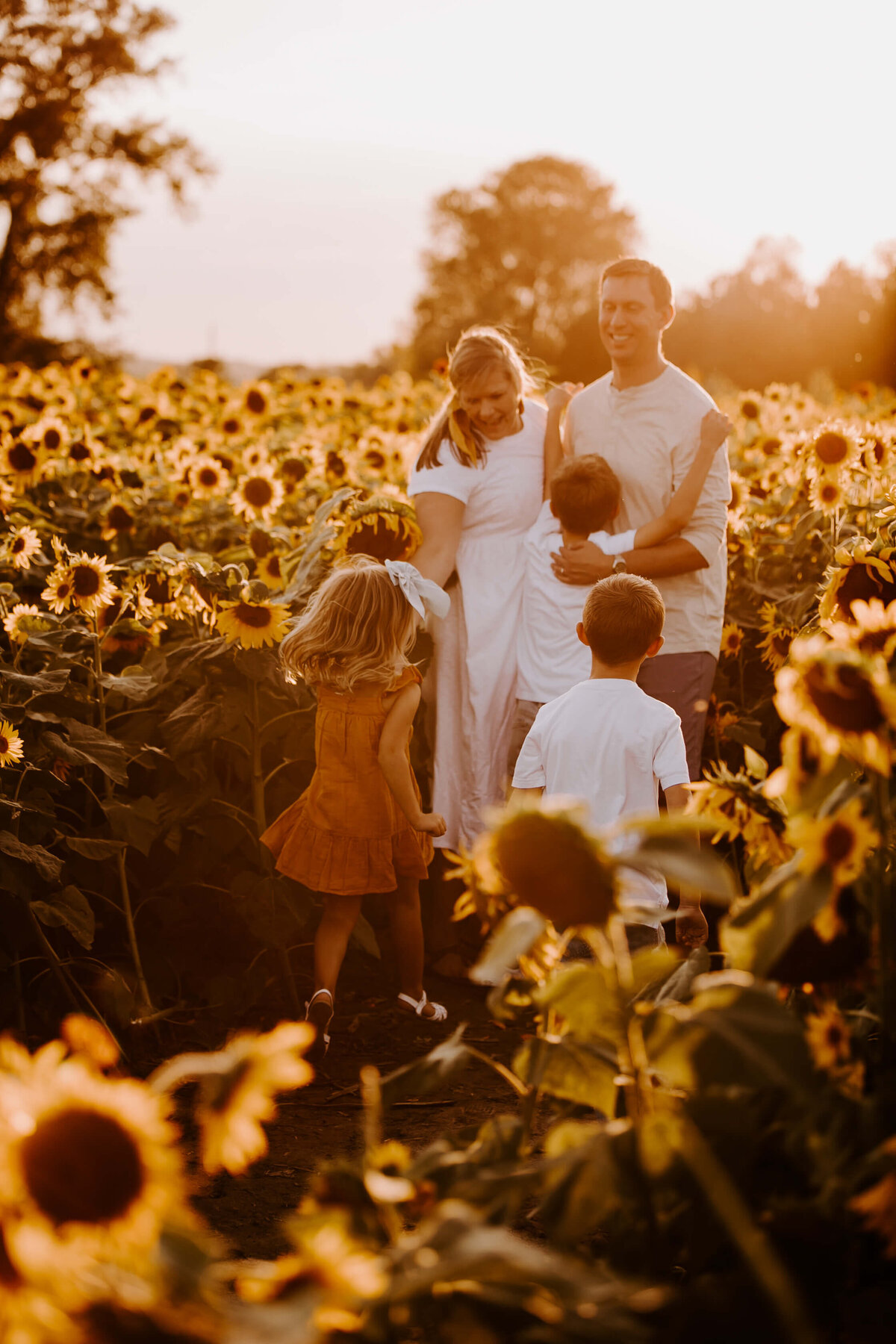 Sunflower-Field-Mini-Session-Family-Photography-Woodbury-Minnesota-Sigrid-Dabelstein-Photography-Thompson-85