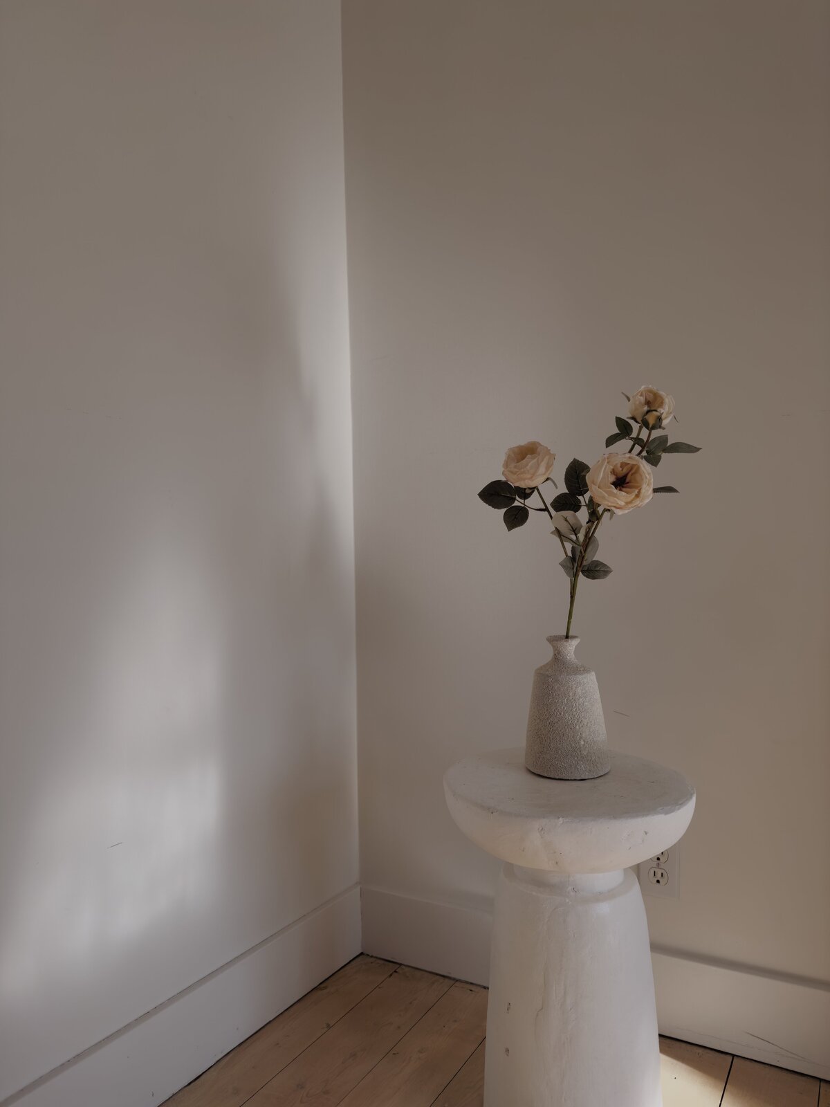 Rental Space for Photoshoots, Filming, Photo shoots, Events in Vancouver South Surrey White Rock BC