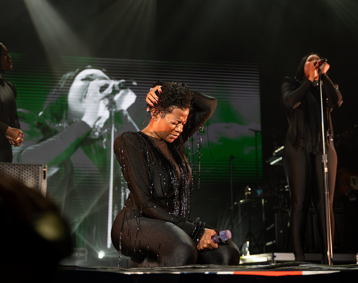 Fantasia & Anthony Hamilton Live in Concert – Baton Rouge River Center – Sept 26, 2025-118
