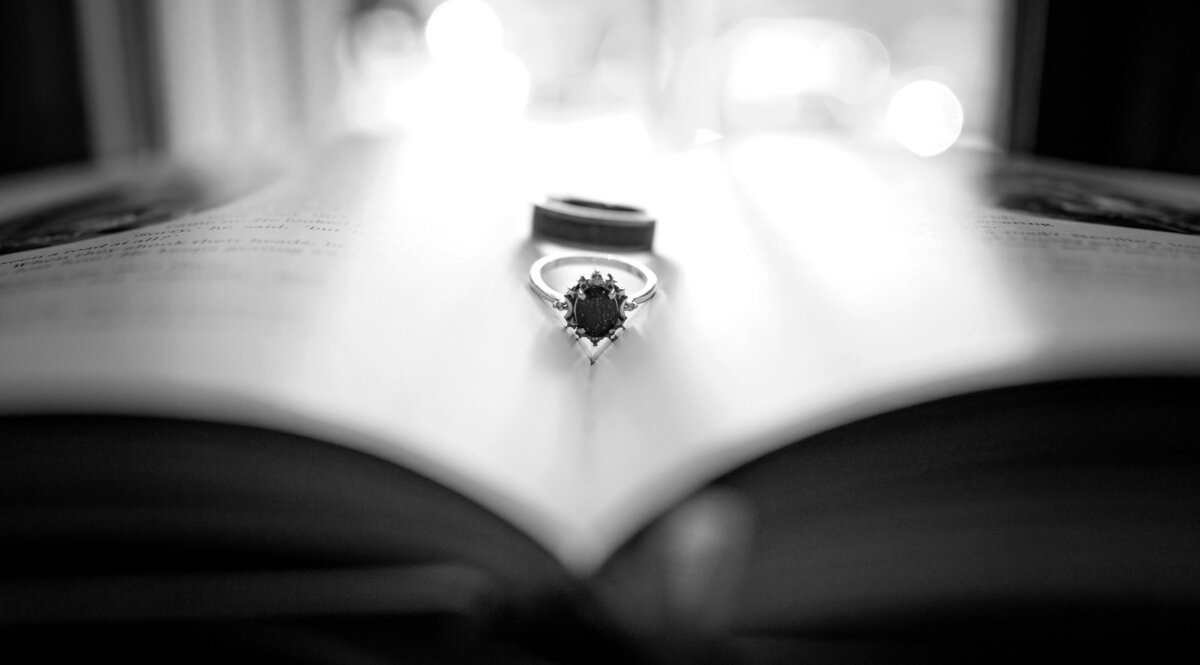 Buffalo, NY Wedding Photographer Rochester, NY Wedding Photographer WNY Wedding Photographer and Finger Lakes Region Wedding Photographer