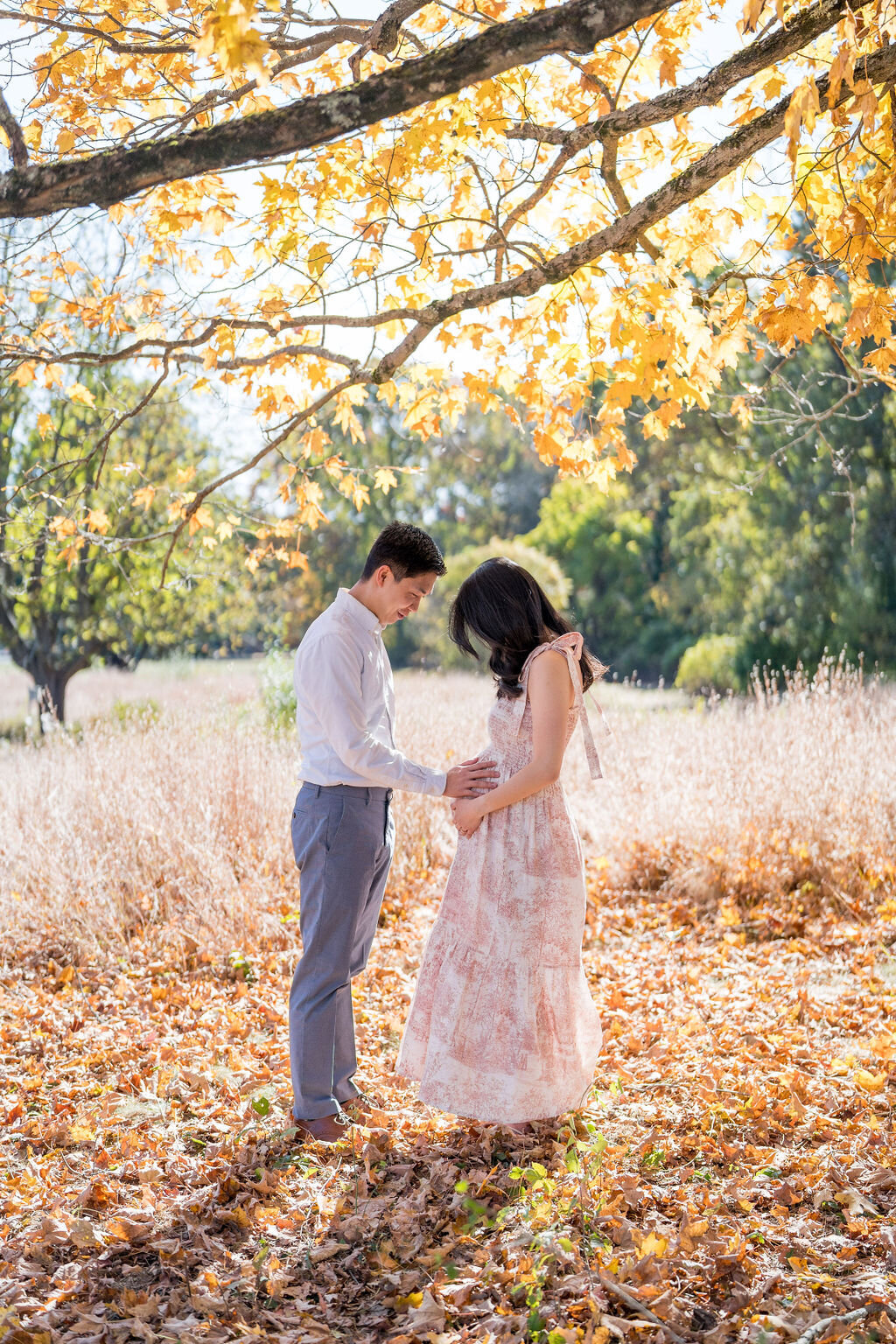 Walpole MA maternity photos_francis william bird park3