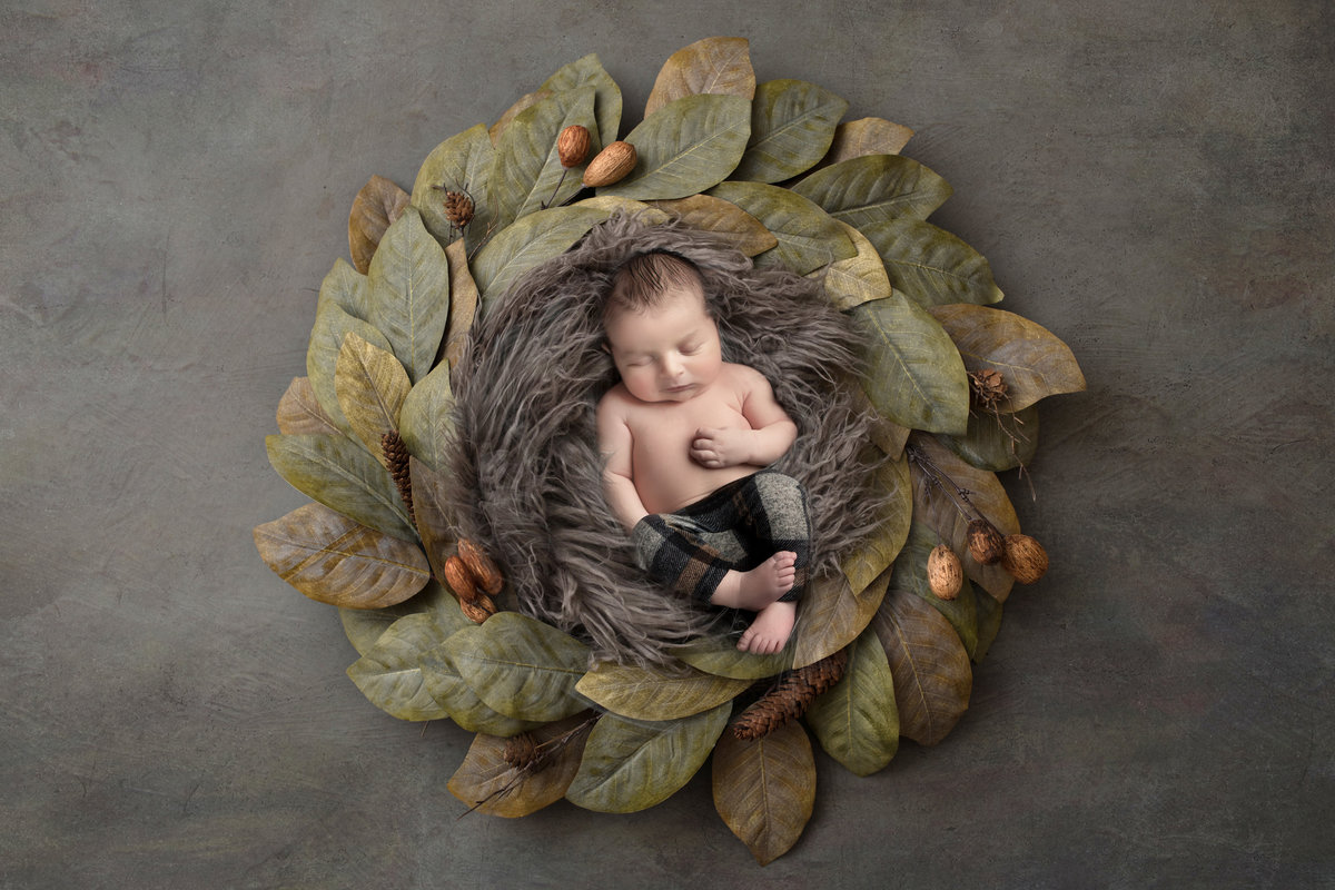 Maternity Newborn - Holly Dawn Photography - Wedding Photography - Family Photography - St. Charles - St. Louis - Missouri-70