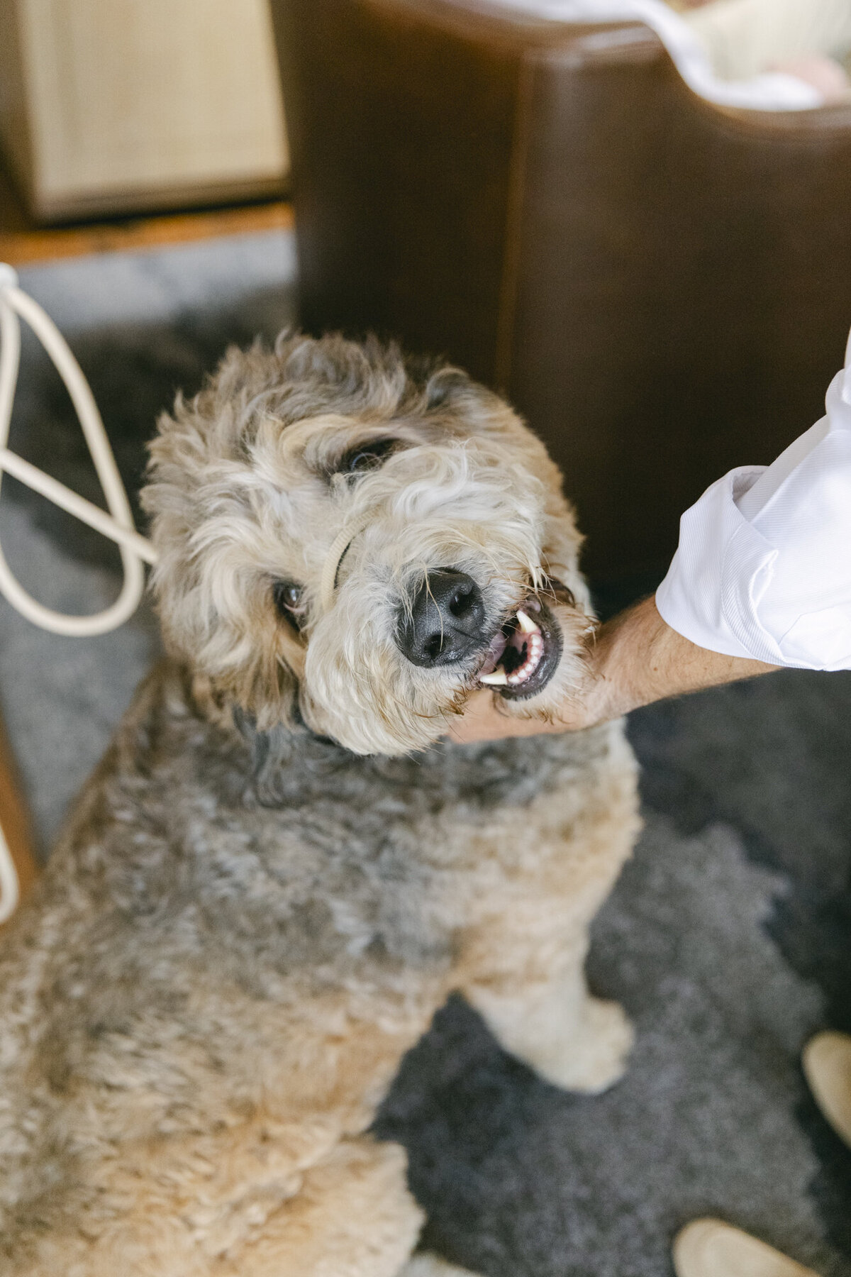 PERRUCCIPHOTO_CARMEL_VALLEY_RANCH_WEDDING_51