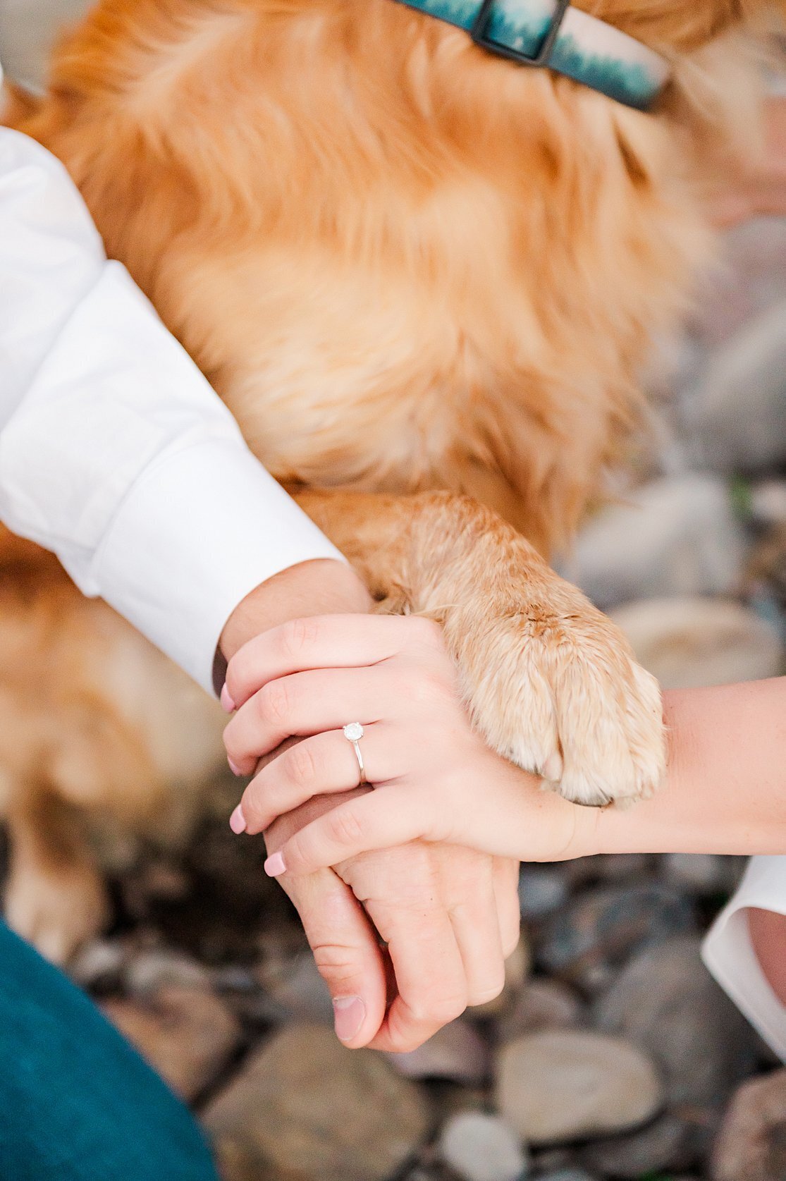 Taylor-Eric-Lake-Tahoe-Homewood-CA-Lakeside-Engagement-Session-BHP-2022-182