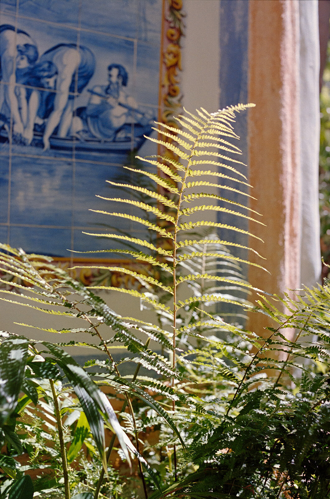 rancho-las-lomas-wedding-orange-county-6