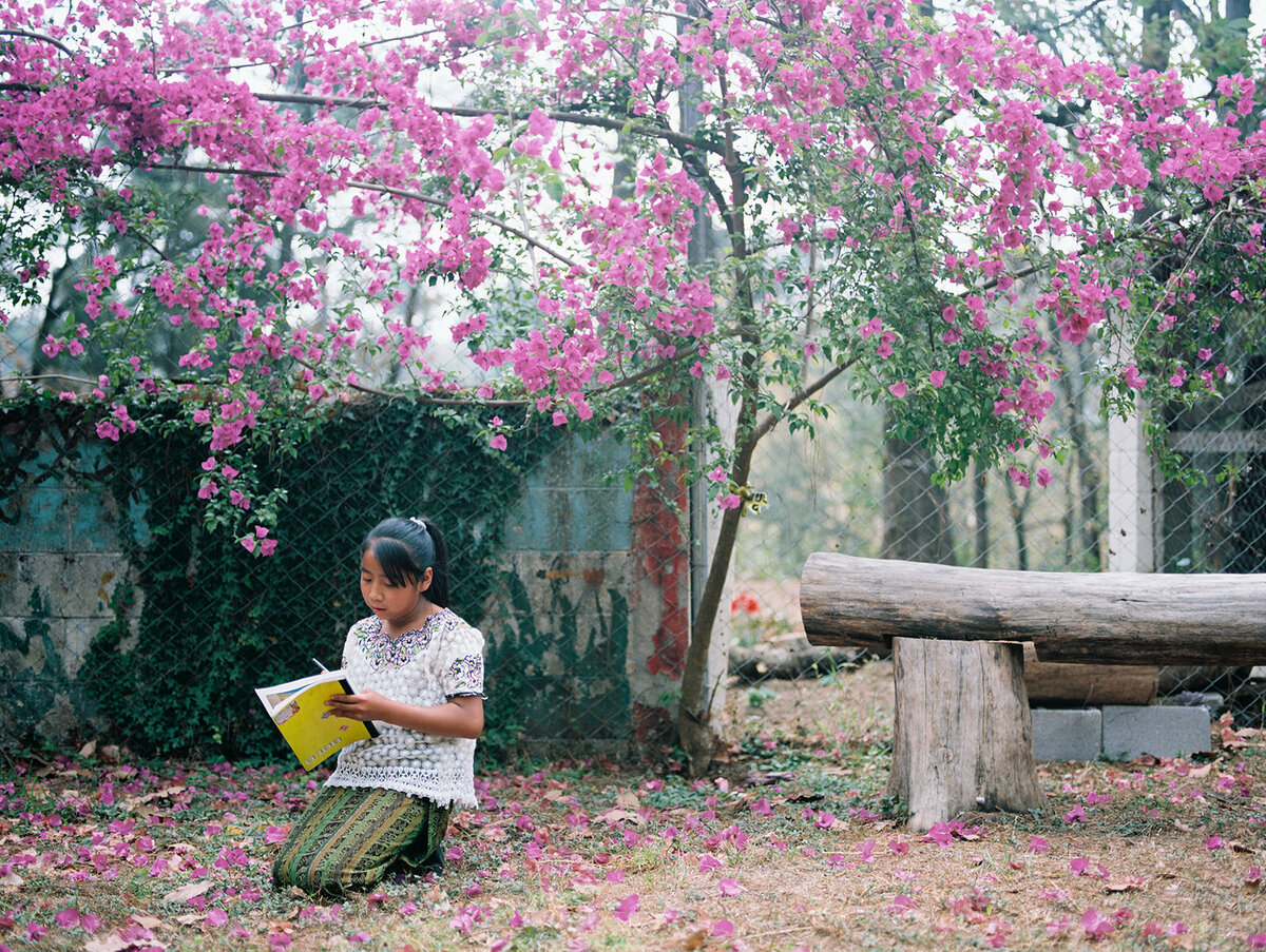 child sits under tree with purple flowers