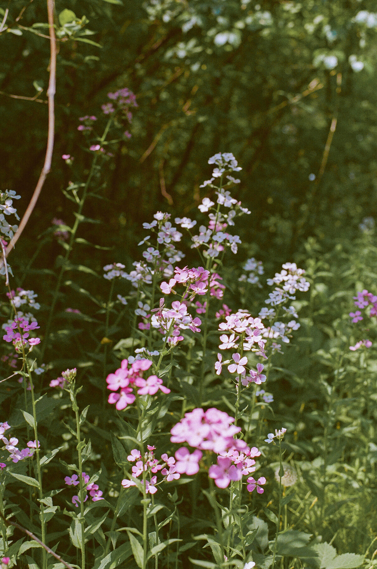 Film-Photography-Winnipeg-13