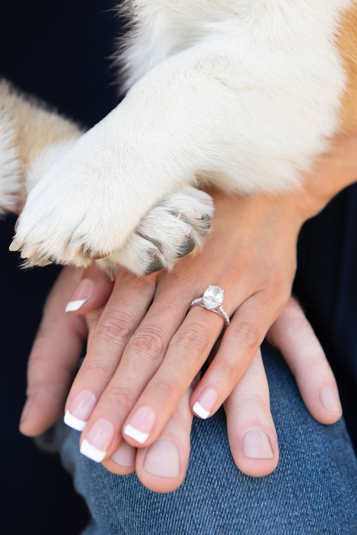 PJ & Jasmine _ Walnut Creek, California Engagement Portrait Session07A