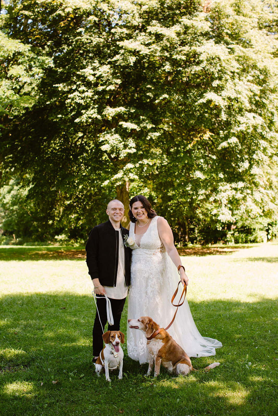 dogs-at-your-wedding-day