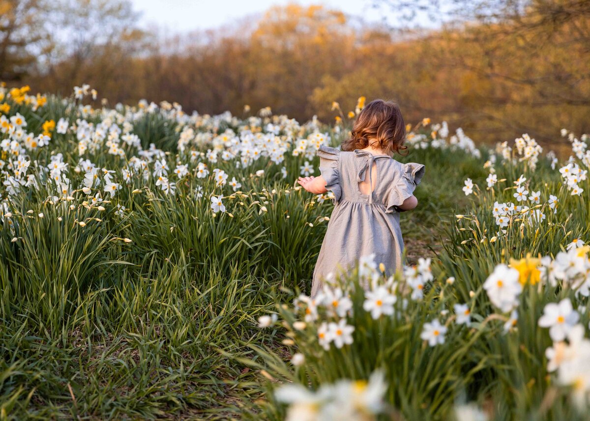 daffodils-3