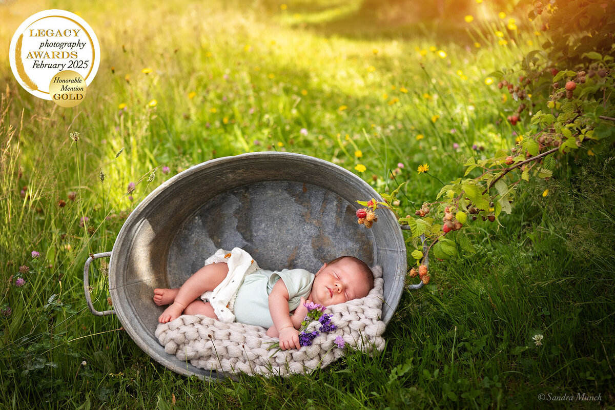 Sandra-Munch-photographie-naissance-alsace-lorraine-2