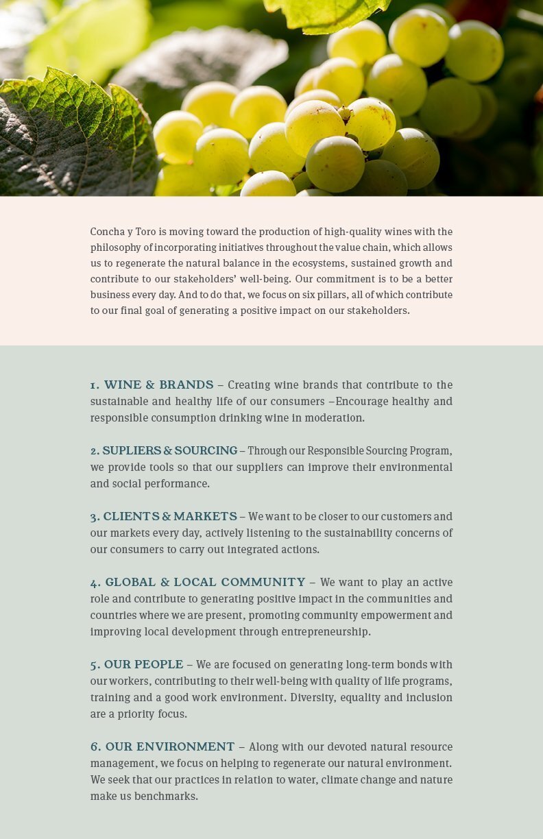 PressKit-SauvignonBlancENG22