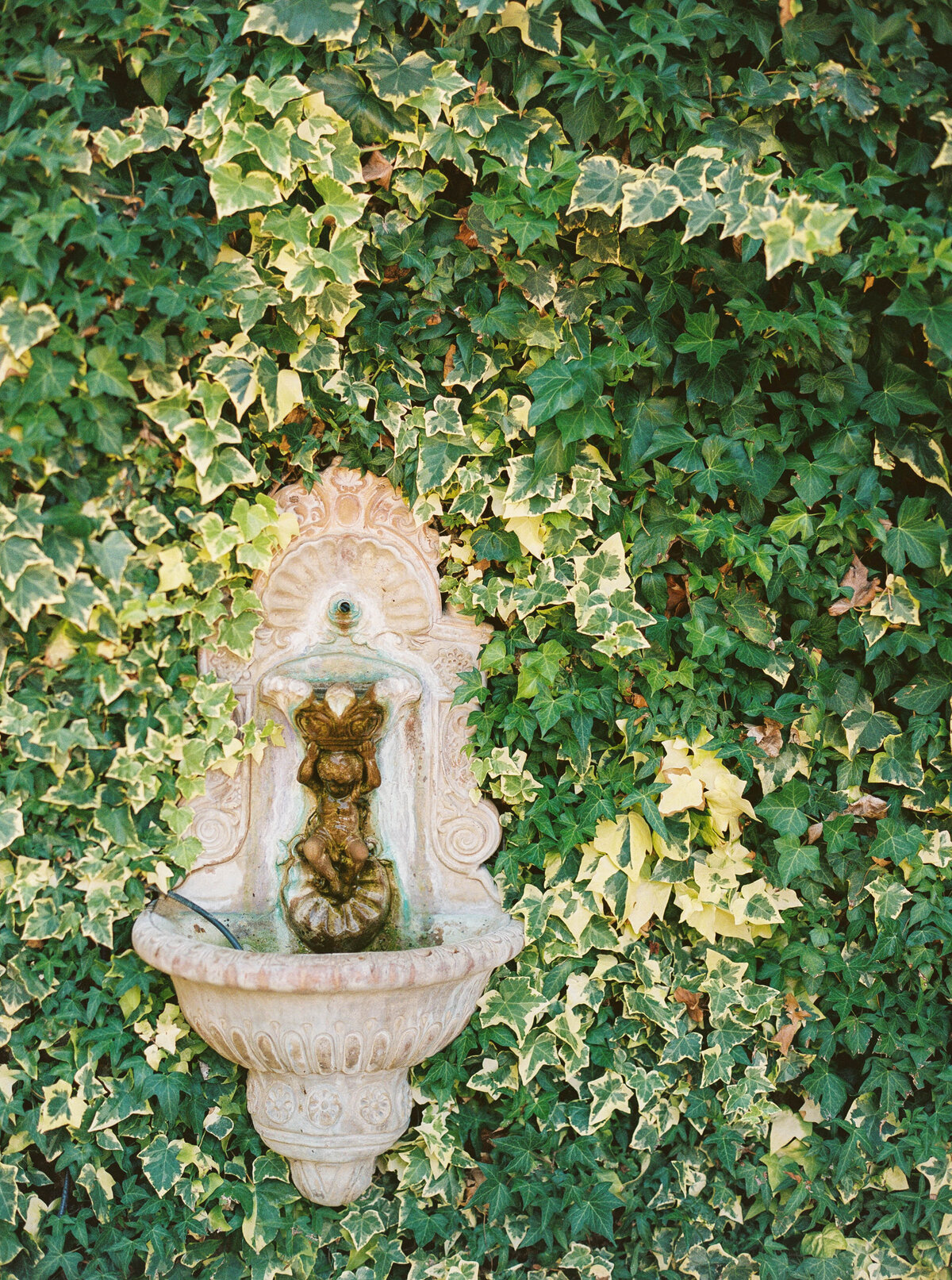 Holman-Ranch-Wedding-Carmel-Photographer-1