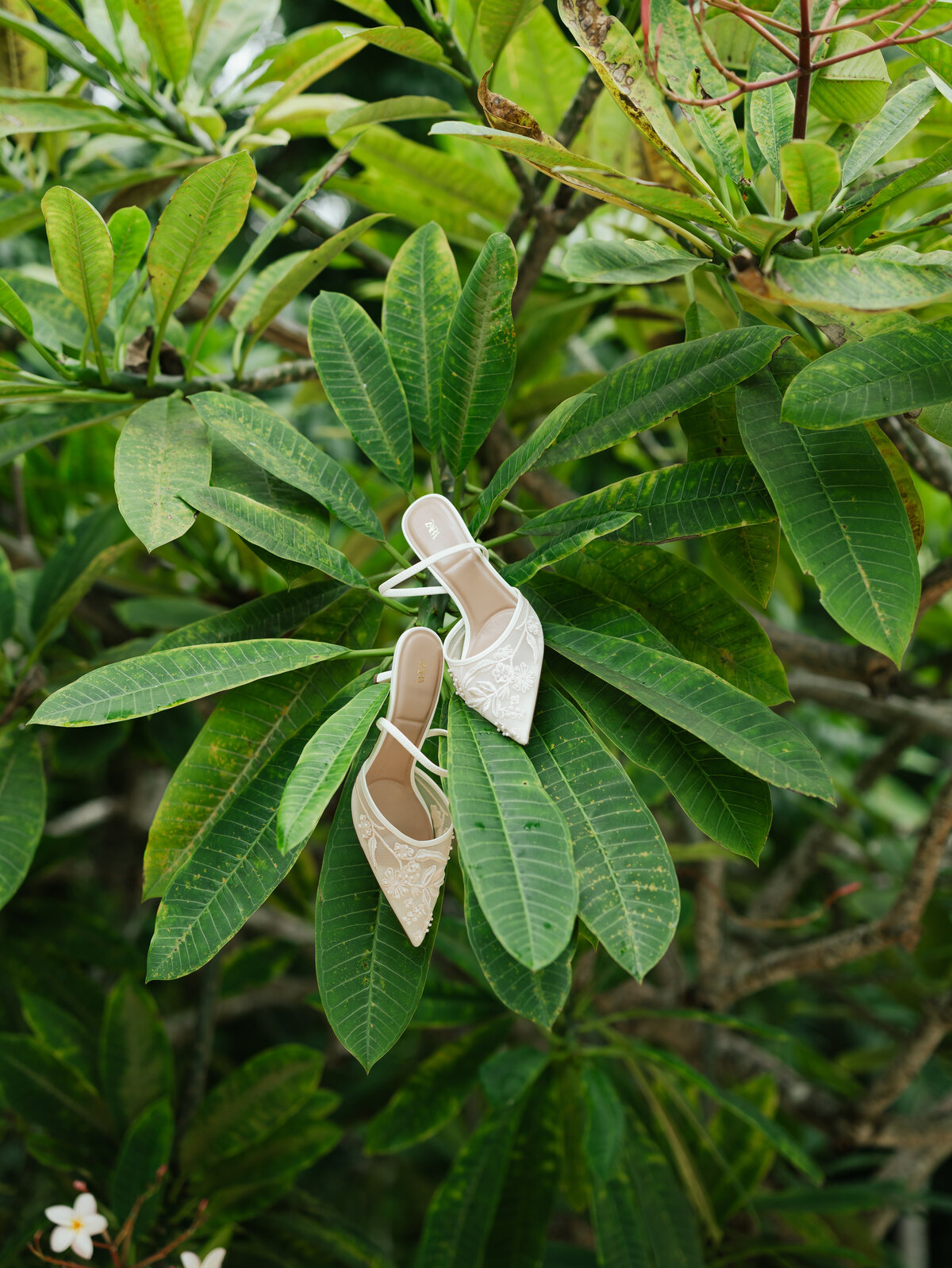 KIMBERDAVIN-2