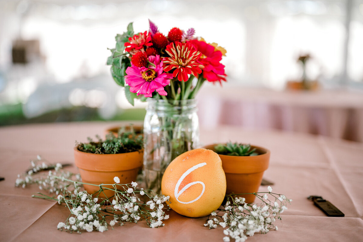backyard-wedding-84