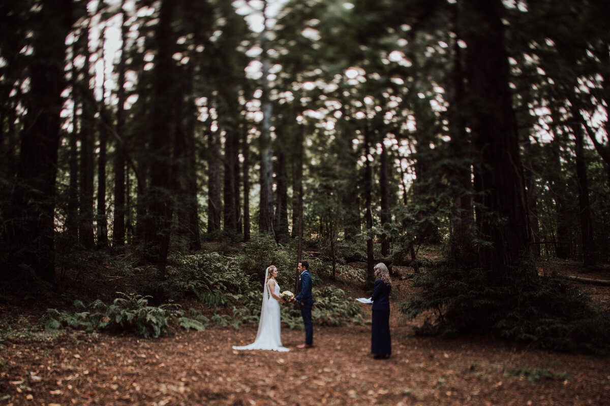 THEDELAURAS_BIGSUR_POSTRANCH_ELOPEMENT_CHLOE_TYLER_0090