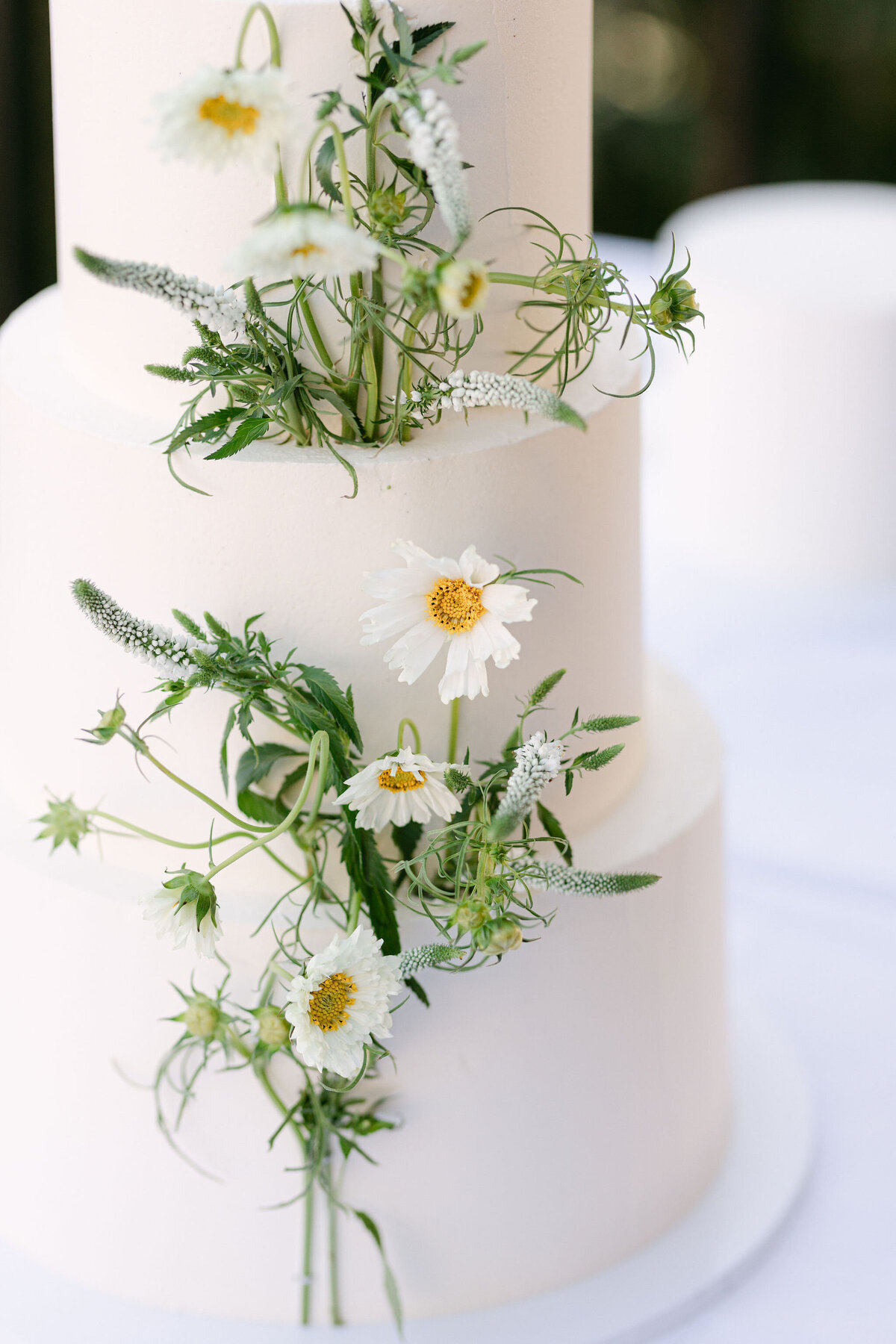 Emma&Jonathan_CLARAMORTENSENPHOTOGRAPHY-536