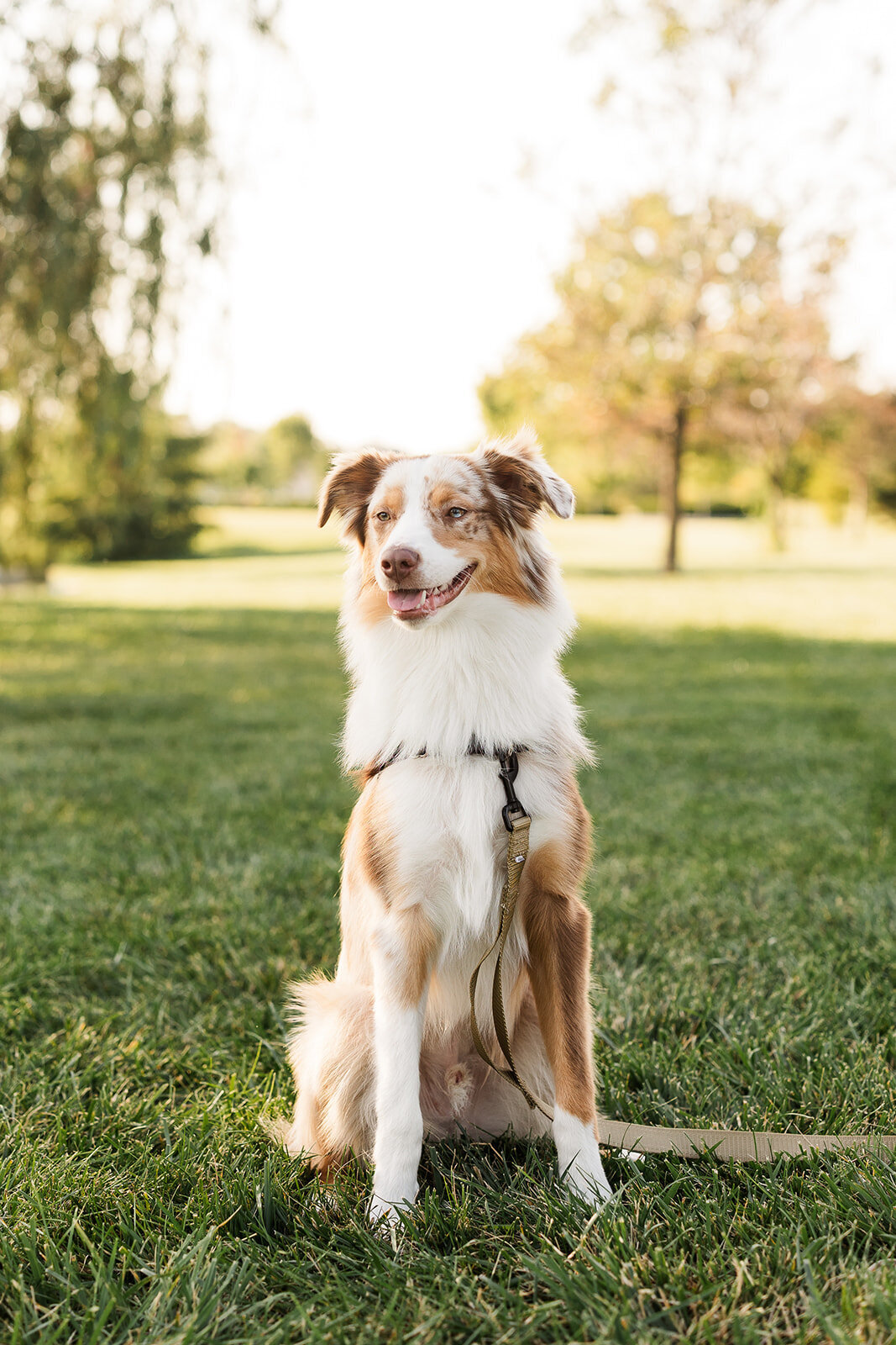 Alexis Fox Photography + Couple Session + Cox Hall Gardens + Carmel + Indiana (38 of 64)