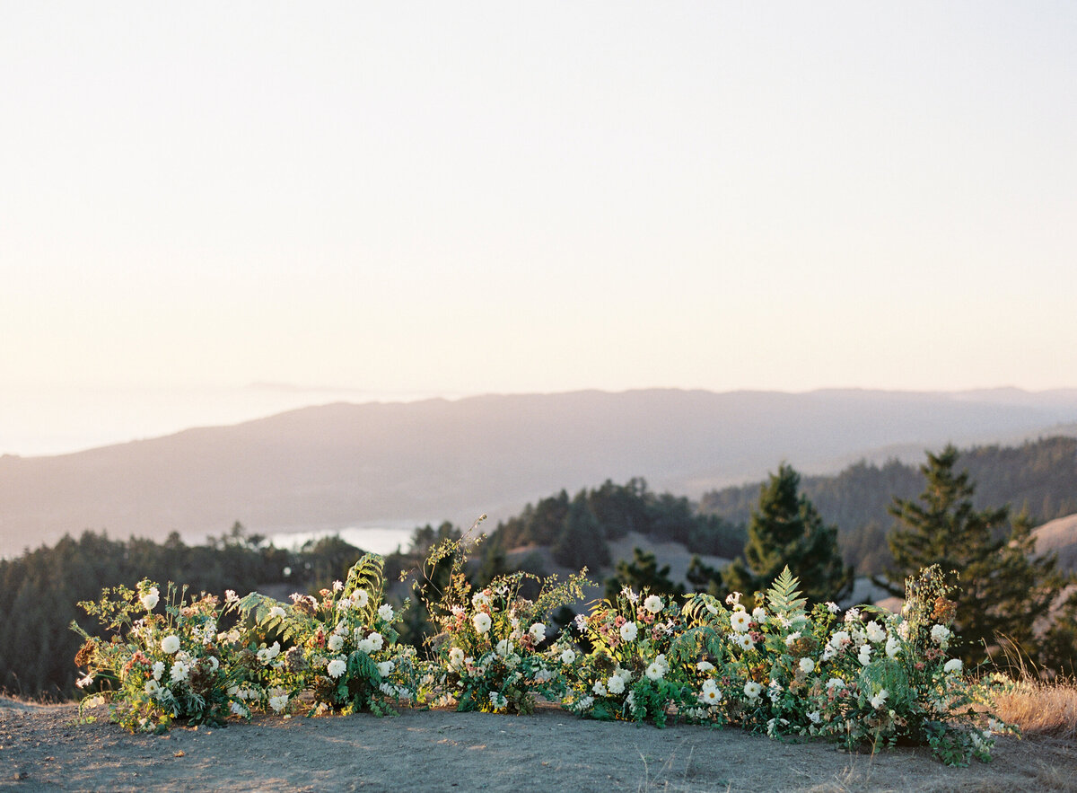 Inspiration for a Wedding  at Beaulie Garden in Napa by Wedding Photographers Pinnel Photography