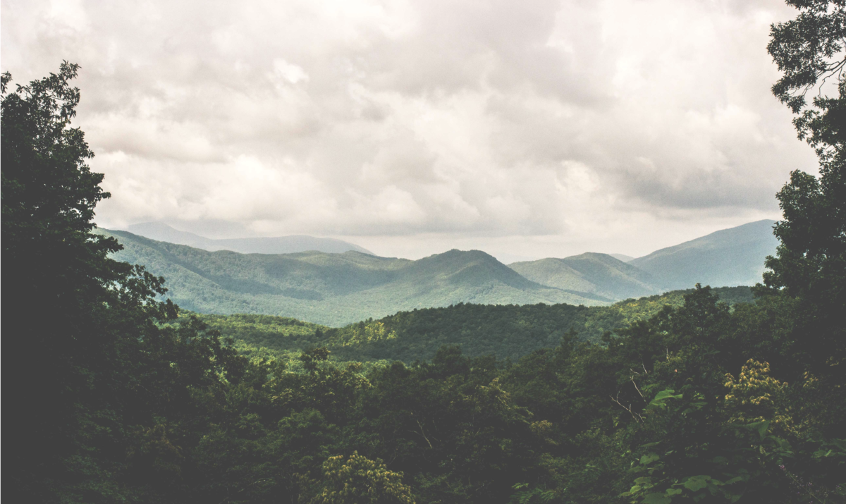 About Woodlands Nutrition