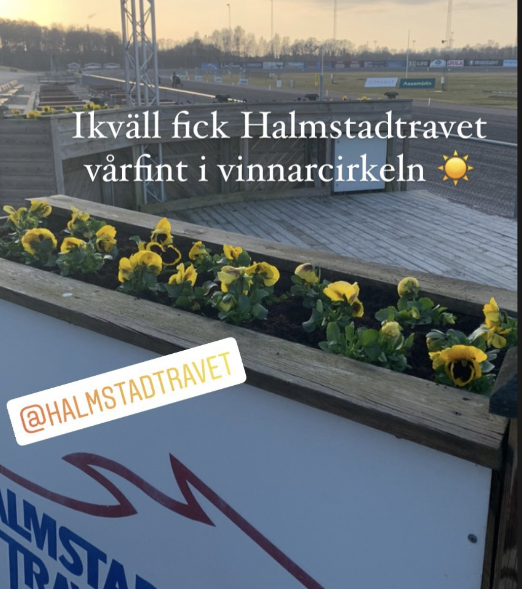 Skärmavbild 2024-05-03 kl. 13.11.58