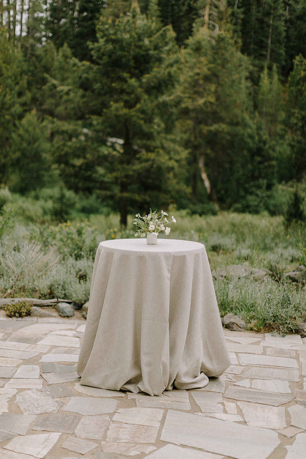 Lake-Tahoe-Wedding-Planner-Dancing-Pines-68