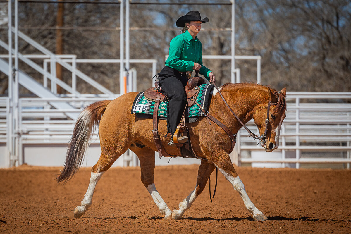 New-Mexico-Horse-Show-Photographer-033